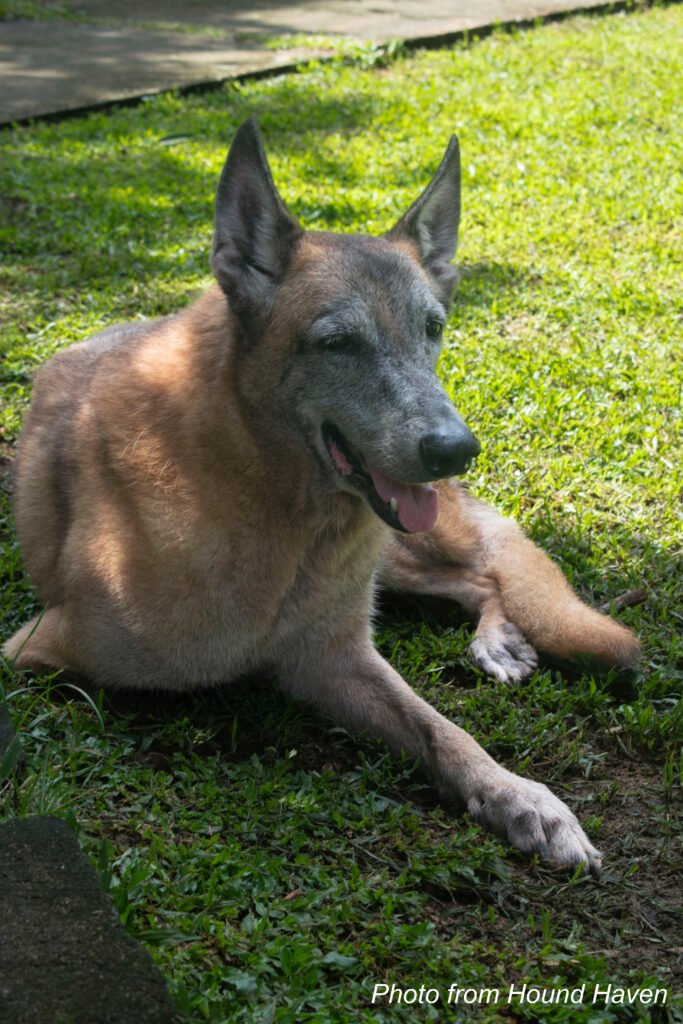 dsc 5827